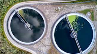 Leading the Biofuels Transition: Risk Strategies to Cut Through Complexity  