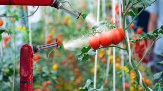 The Future of Food: Balancing Risk and Opportunity