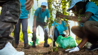 People Volunteer Environment Planting