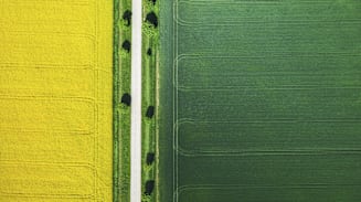 Nordic Insurance Market Insights Buyer-Friendly Insurance Conditions Persist for Nordic Businesses