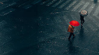 Damage to Brand or Reputation Hero Banner