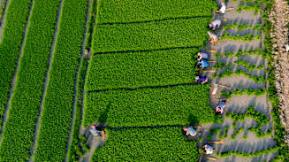 Managing Risk and Unlocking Opportunity in the Food, Agribusiness and Beverage Industry