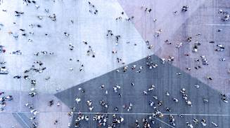 Country-Level Findings