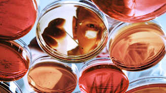 2025 Life Sciences Outlook: Building Preparedness to Mitigate Risks and Capture Human Capital Opportunities