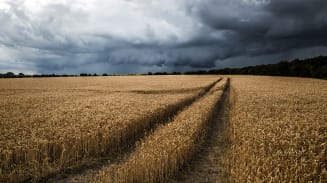 Improving Agricultural Practices to Address Climate Risks