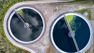 Leading the Biofuels Transition: Risk Strategies to Cut Through Complexity  