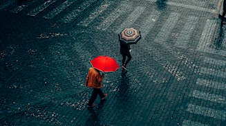 The Total Portfolio Approach: Innovation or Rebranded Ideas