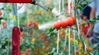 The Future of Food: Balancing Risk and Opportunity