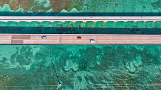 Relevance Through the Cycle: 5 Strategic Imperatives for Insurers