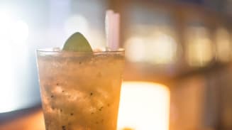 Join us for Networking and Cocktails