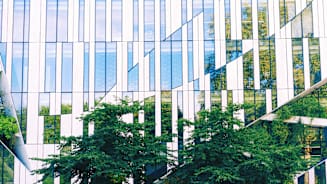 Supporting Energy Resilience and Transition to Low-Carbon Economy