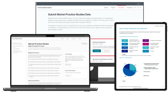 Sample Radford McLagan Compensation Database Outputs