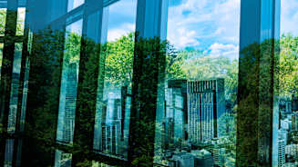 Cedant Facultative Facilities