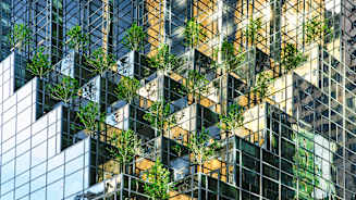 Cedant Facultative Facilities