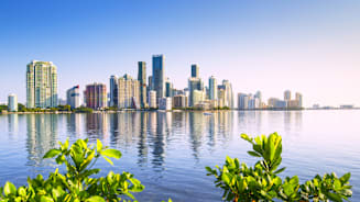 Investment Insights Series - Miami