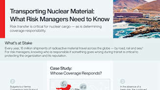 Nuclear Energy Revival: Risk, Resilience and the Talent Revolution