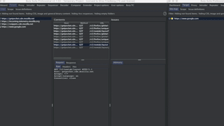 Burp Suite Team Collaborator Plugin