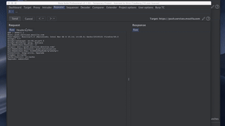 Burp Suite Team Collaborator Plugin