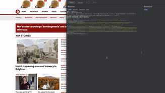 Burp Suite Team Collaborator Plugin