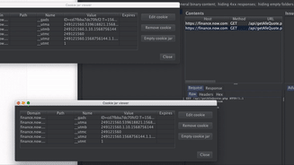 Burp Suite Team Collaborator Plugin