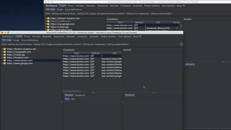 Burp Suite Team Collaborator Plugin