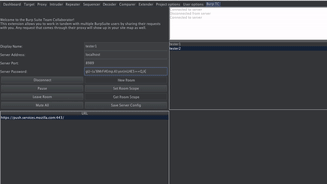 Burp Suite Team Collaborator Plugin