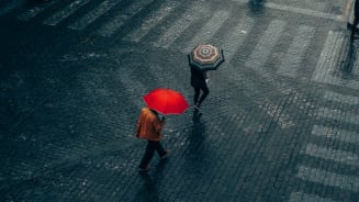 H2 2024 Market Insights Report