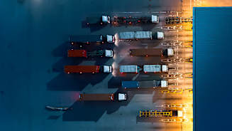 Supply Chain or Distribution Failure: Navigating the New Normal