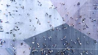 Country-Level Findings