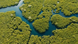How Insurers are Driving Sustainable Investments