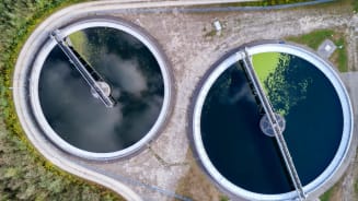 Leading the Biofuels Transition: Risk Strategies to Cut Through Complexity