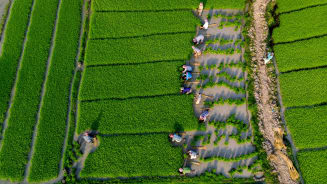 Mitigating Volatility and Maximizing Profits: A Guide to Risk Capital in the Food, Agribusiness and Beverage Industry