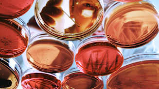 Navigating Risk in Life Sciences: Building Resilience to Support Growth