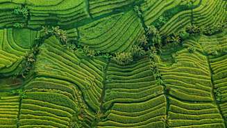 Environmental Insurance Market Forecast 2025 - 2026