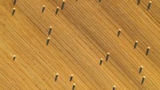 Three Top of Mind Employer Issues and How Having the Right Data Helps Navigate Them