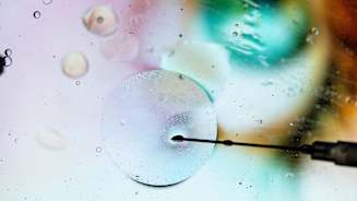 Navigating Mergers and Acquisitions Evolution in Life Sciences: Rethinking Risk and Insurance