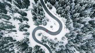 Better Decisions on Resilience for the Automotive Industry