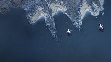 Wealth Insights Series