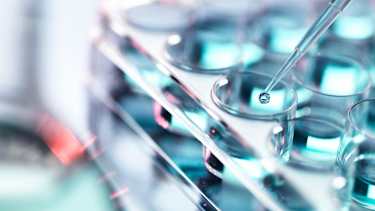 EMEA: Breach Types and Trends
