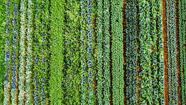 Precision Growth: Targeted Expansion Over Scale