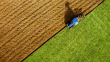 The High Stakes of Sustainability Claims 