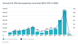 Preparing for a US IPO: 5 Actions to Take Now Diagram 1