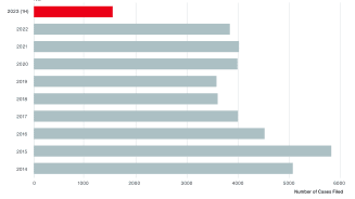 Diagram 1 - Cases Filed by Year: A Spotlight on the U.S.