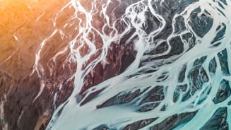 How Organizations Can Find a Path to Net Zero Hero Image