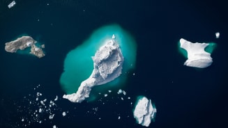 Net-Zero Goals and Climate Change Realities: Leaders Weigh In Hero Image