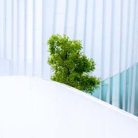 Annual Credit Solutions Conference