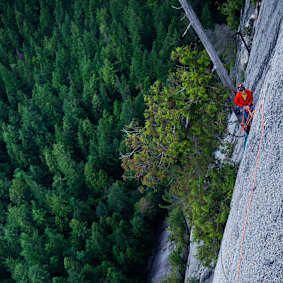 Protect and Expand Your Portfolio with a Breadth of Model Coverage