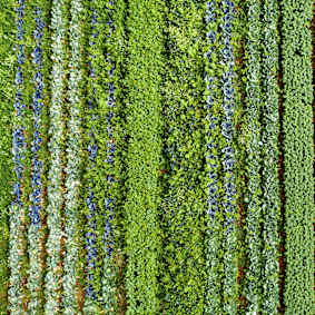 Climate Risk Solutions for Specialty Crops