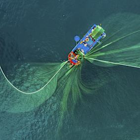 Climate Risk Solutions for Aquaculture
