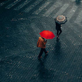 Reputation Risk Consulting